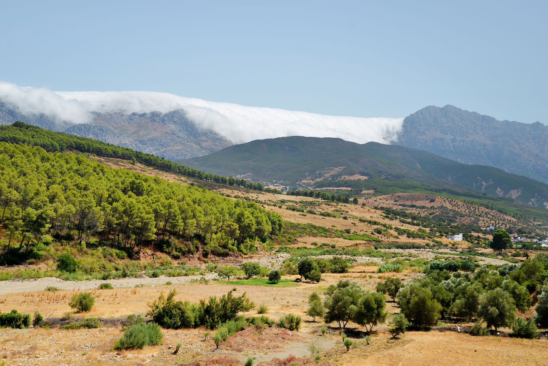 Morocco — Birdwatching Merja Zerga