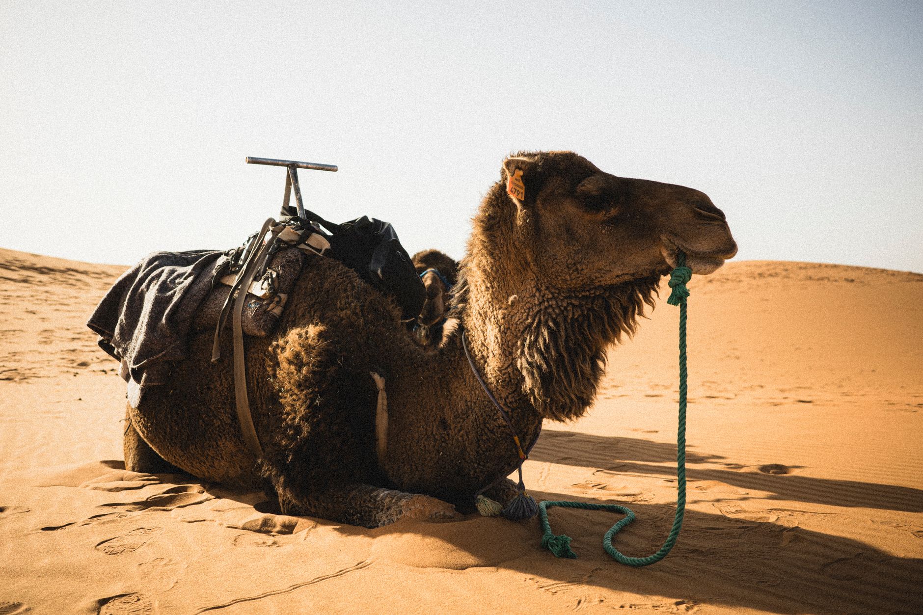 Morocco — Burnout & silence retreat