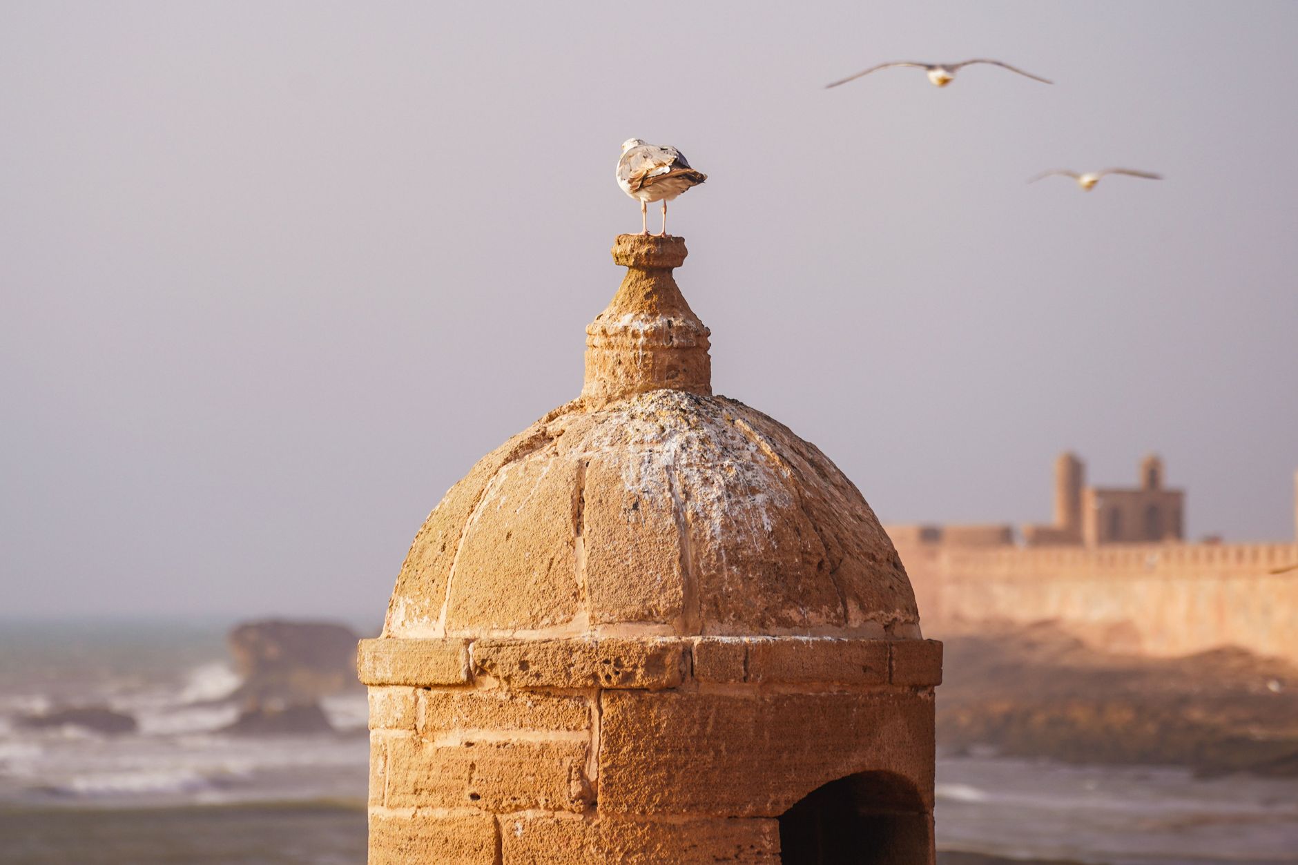 Morocco — Gnawa music & culture immersion