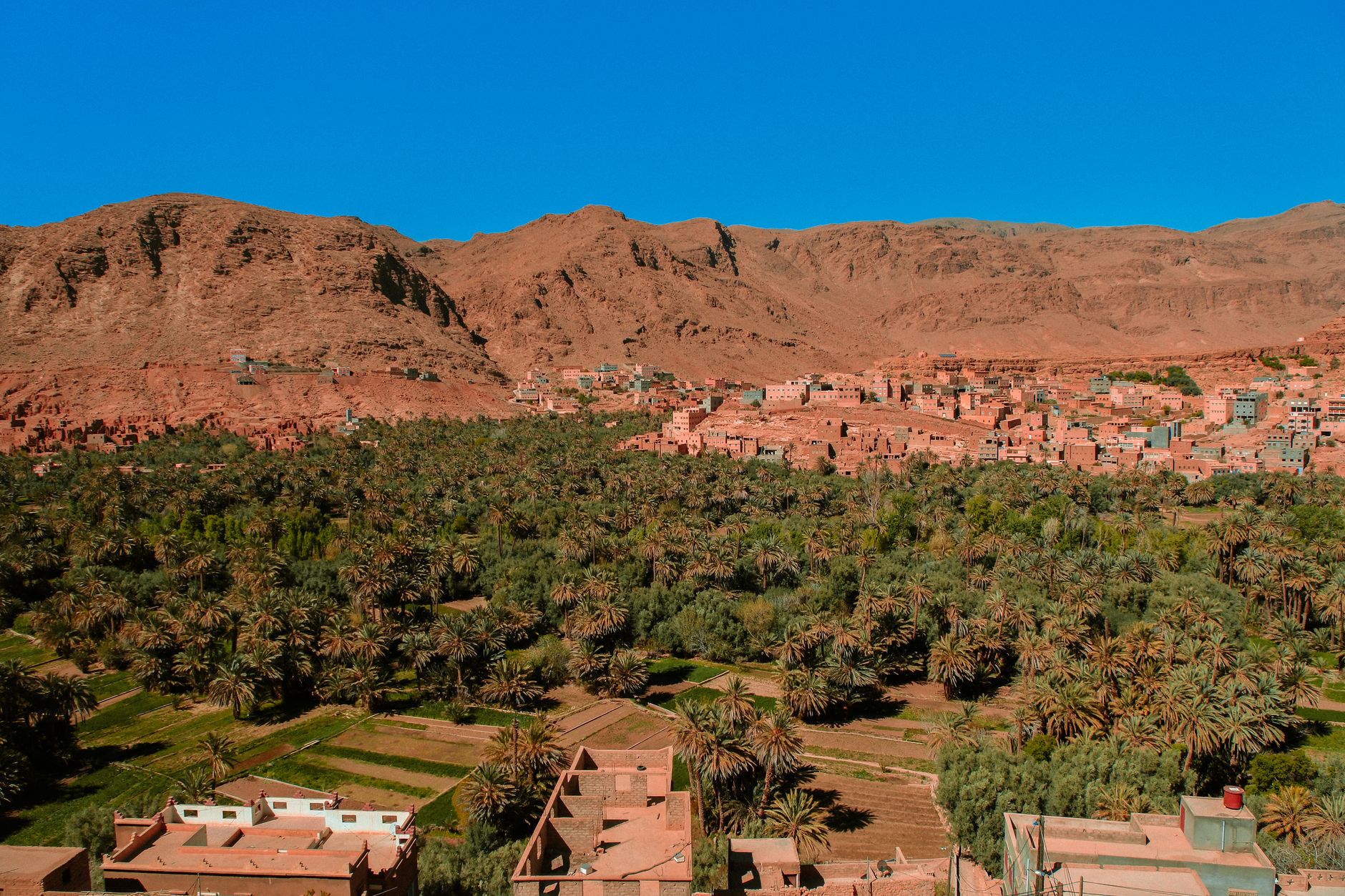 Morocco — Horse riding in the desert