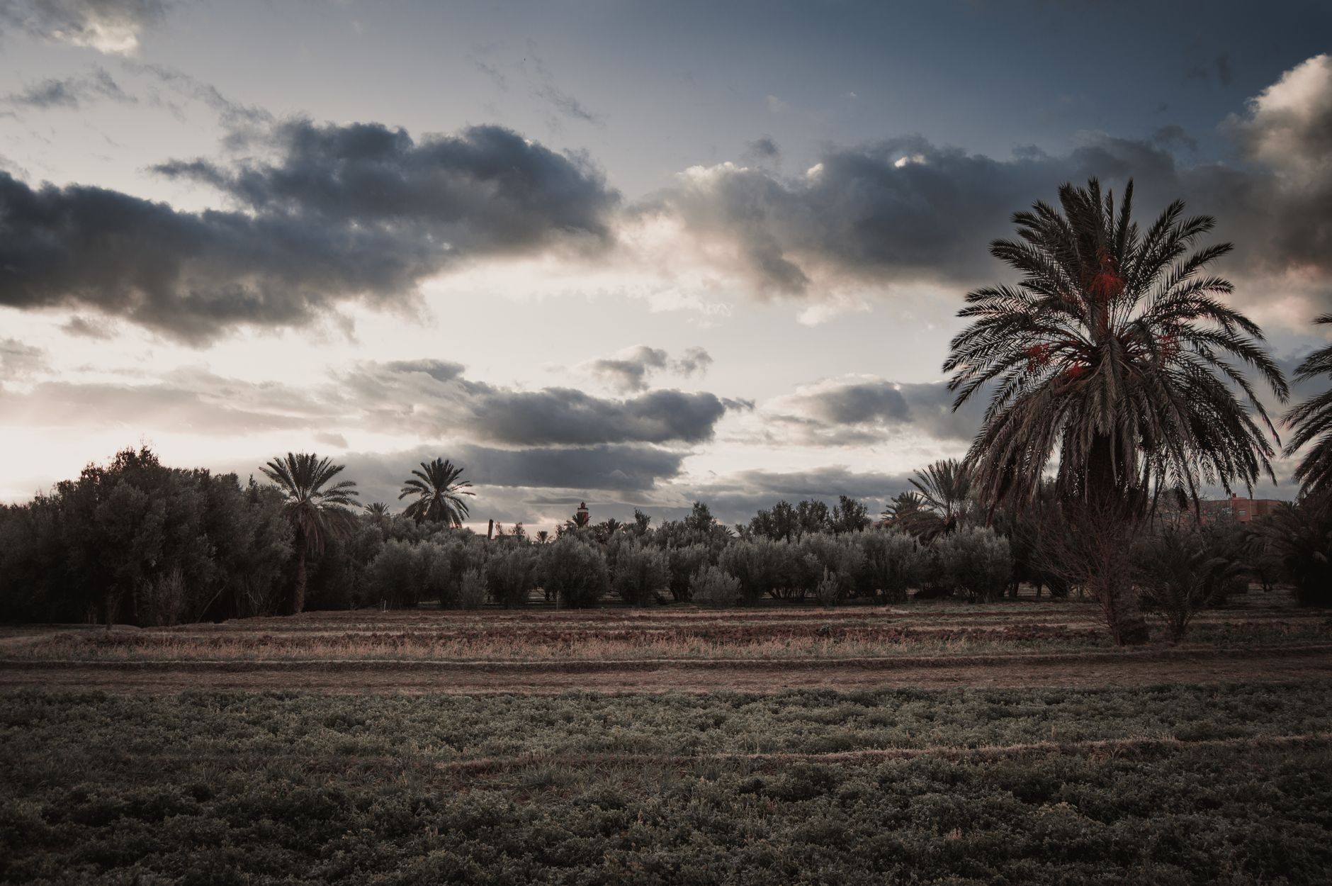Morocco — Oasis & hot springs